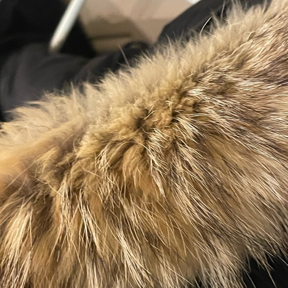 Langford Parka Black - L - Picture 15 of 15